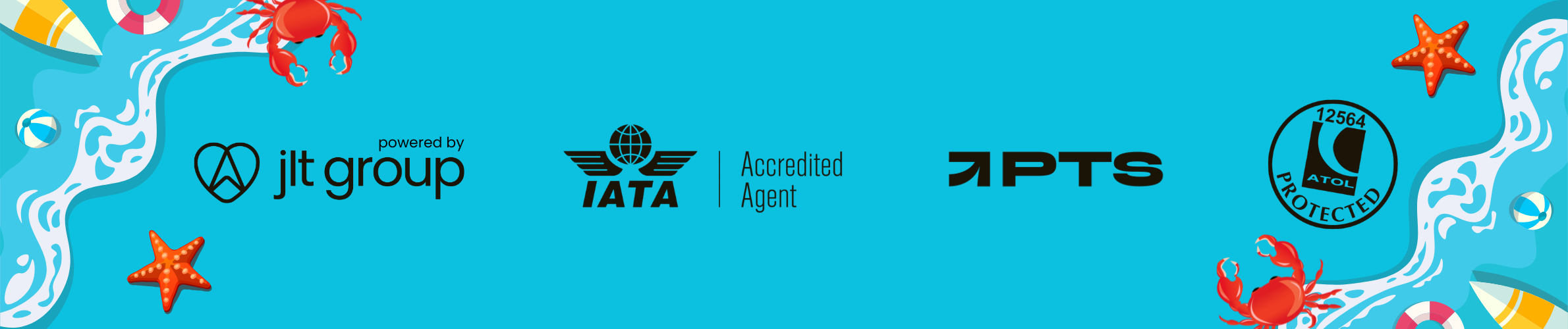 Shane’s Holiday Dreams footer banner